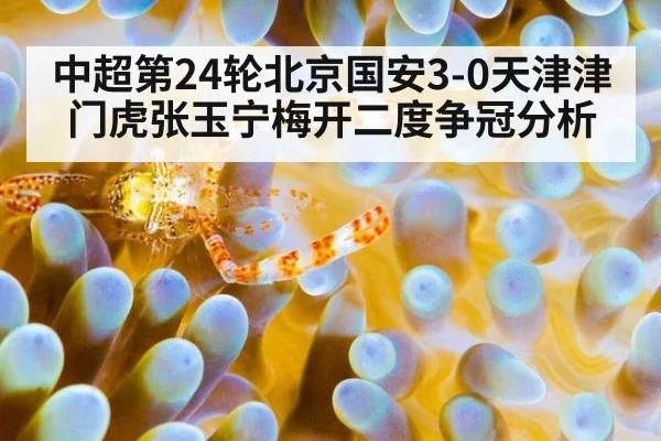 中超第24轮北京国安3-0天津津门虎张玉宁梅开二度争冠分析