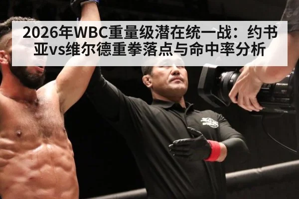 2026年WBC重量级潜在统一战:约书亚vs维尔德重拳落点与命中率分析