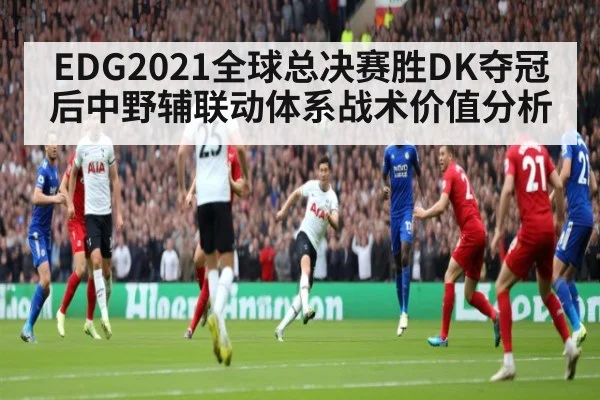 EDG2021全球总决赛胜DK夺冠后中野辅联动体系战术价值分析